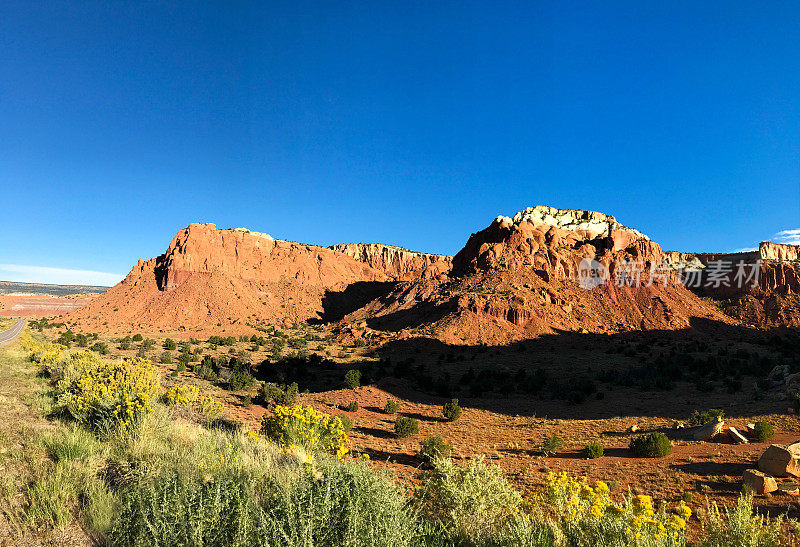 阿比丘，NM:红山崖和Chamisa/Rabbit Brush